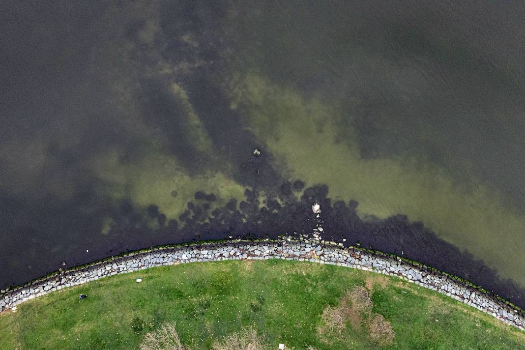 İstanbul'da buradan tutulan balıkları sakın yemeyin! Suda oksijen kalmadı, ağır metal ve pestisit var 10